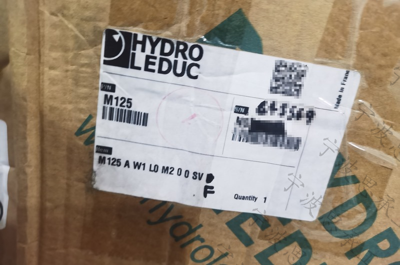 法國力度克液壓馬達(dá)M125AW1L0M200SVF